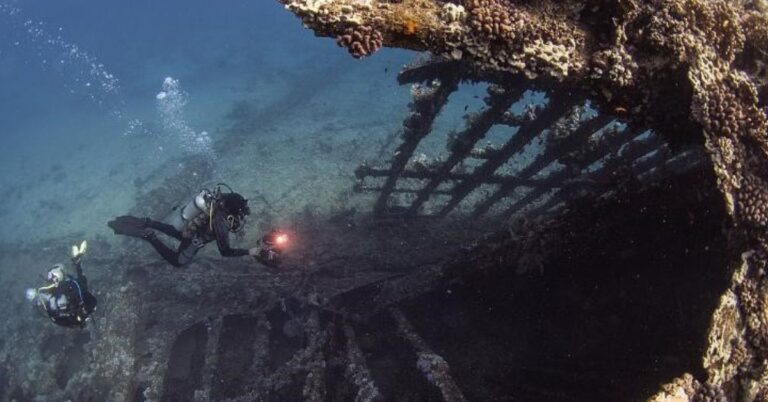 Five Amazing Underwater Finds That Turned Explorers into Millionaires
